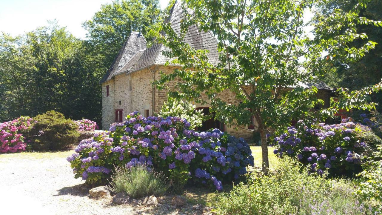 Chateau De Bellefond Lagraulière Exterior foto